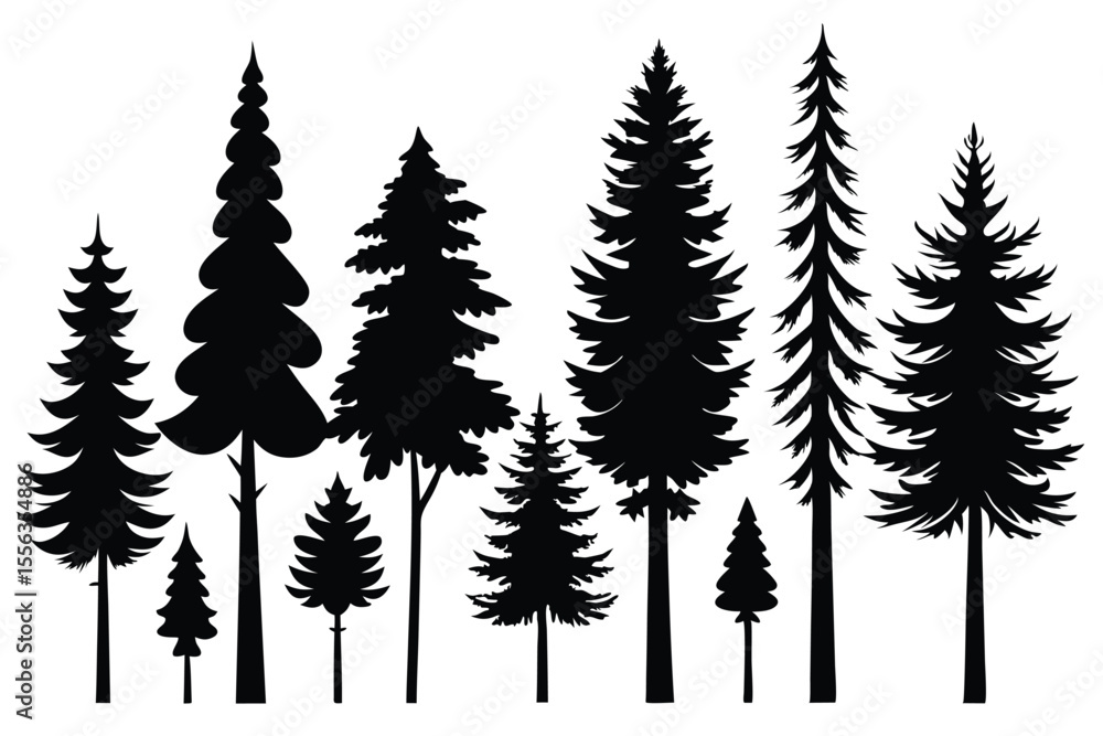 Fototapeta premium Silhouettes of various evergreen trees in a forest