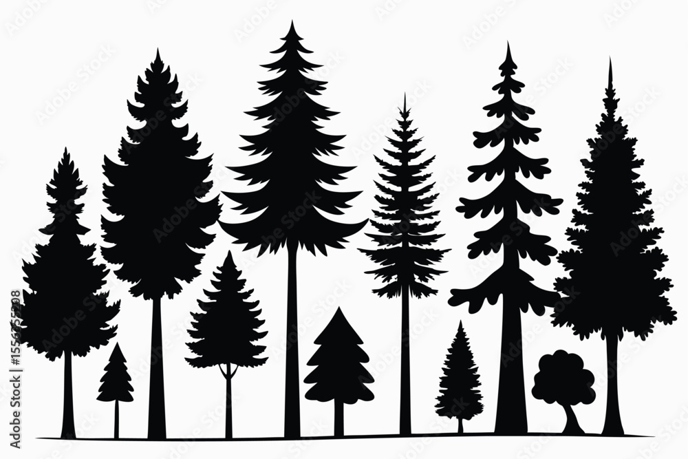 Obraz premium Silhouettes of various evergreen trees in a forest