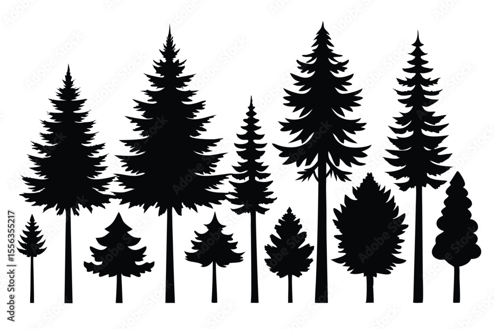 Fototapeta premium Silhouettes of various evergreen trees in a forest