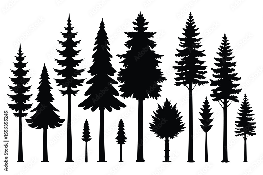 Fototapeta premium Silhouettes of various evergreen trees in a forest