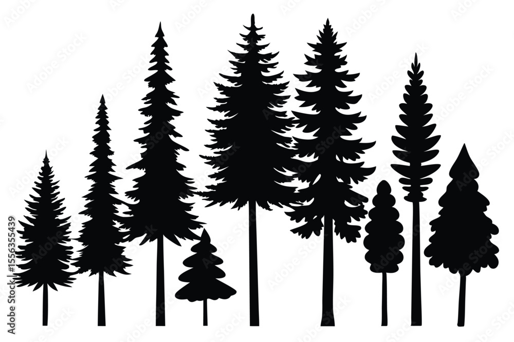 Fototapeta premium Silhouettes of evergreen trees in a forest scene