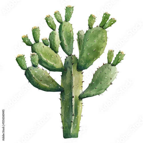 A Cactus Plant, watercolor vector, isolated on a white background.