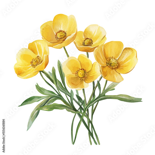 A Buttercup Bouquet, watercolor drawing vector, isolated on a white background.