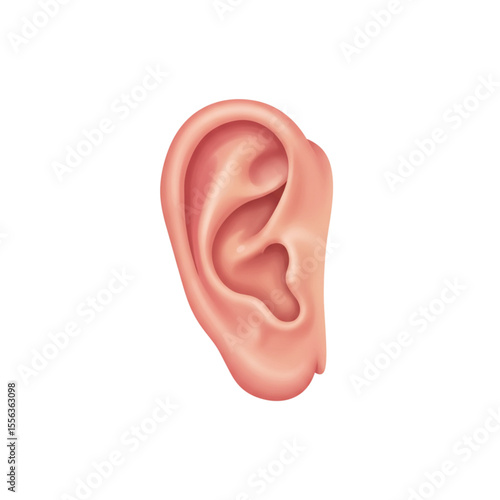 Human Ear Flat Icon