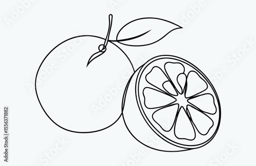orange fruit line art, lemon continuous drawing, Orange fruit in one line art drawing style, Continuous single line drawing sliced healthy organic lemon for orchard logo identity. Vector illustration