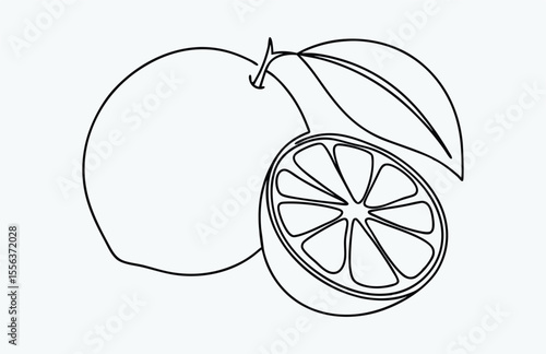 orange fruit line art, lemon continuous drawing, Orange fruit in one line art drawing style, Continuous single line drawing sliced healthy organic lemon for orchard logo identity. Vector illustration