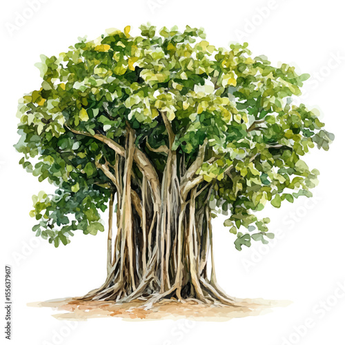 A Banyan Tree, watercolor clipart vector, isolated on a white background.