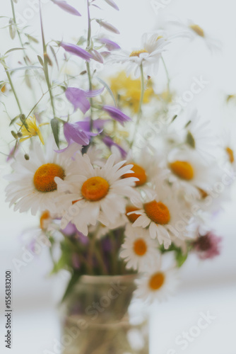 a bouquet of wild flowers and daisies
