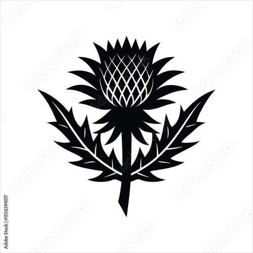  Scottish Thistle Silhouette Vector Art