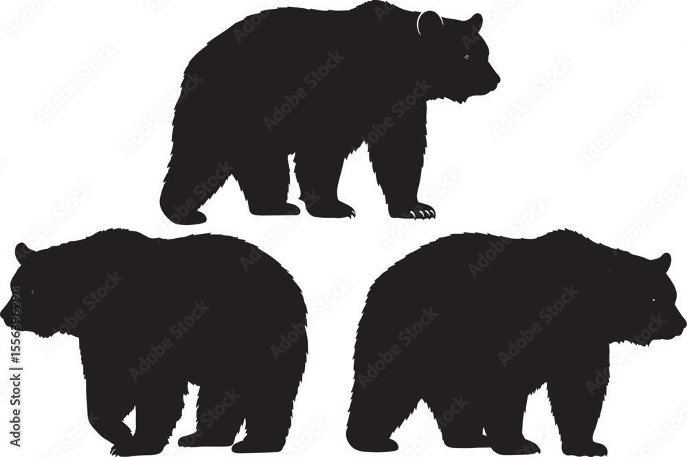 Fototapeta premium American black bear silhouette vector illustration