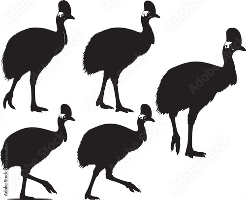 Cassowary flightless bird silhouette vector illustration