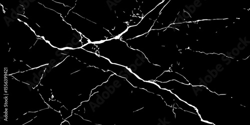 A striking, high-contrast black and white abstract pattern resembling fractured ice, cracked glass, or veining in dark marble.Emphasize sharp, intricate lines and a dynamic,almost chaotic composition.