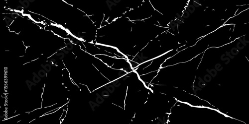 A striking, high-contrast black and white abstract pattern resembling fractured ice, cracked glass, or veining in dark marble.Emphasize sharp, intricate lines and a dynamic,almost chaotic composition.