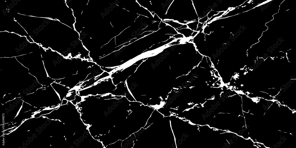 A striking, high-contrast black and white abstract pattern resembling fractured ice, cracked glass, or veining in dark marble.Emphasize sharp, intricate lines and a dynamic,almost chaotic composition. A striking, high-contrast black and white abstract pattern resembling fractured ice, cracked glass, or veining in dark marble.Emphasize sharp, intricate lines and a dynamic,almost chaotic composition.