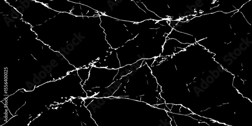 A striking, high-contrast black and white abstract pattern resembling fractured ice, cracked glass, or veining in dark marble.Emphasize sharp, intricate lines and a dynamic,almost chaotic composition.