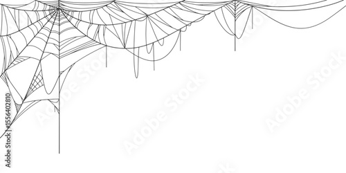 Halloween Cobweb frame border, spider web Vector Isolated on Transparent Background. Vector eps