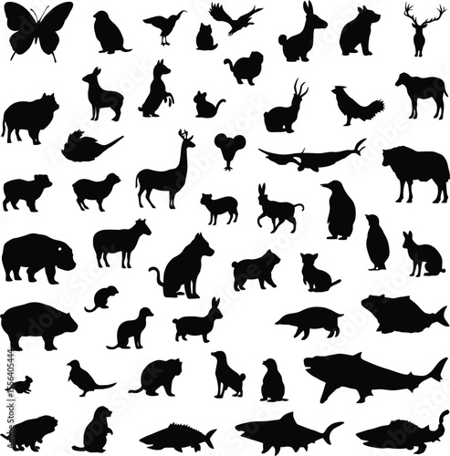 black and white animal silhouette grid with 56 wildlife icons — minimalist nature illustration for educational and branding use