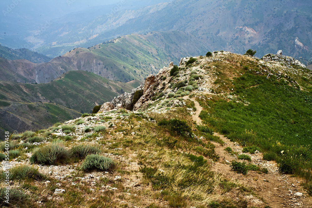 Fototapeta premium Breathtaking panoramic view of the picturesque Western Ridge, seen descending from Big Chimgan, Uzbekistan. Green mountain slopes evoke vastness and wilderness. Photographed June 2025.
