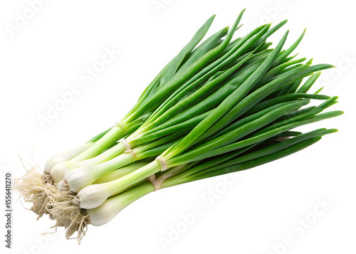 Fresh green onions with roots and white bulbs isolated on a transparent background scallions spring onions, PNG