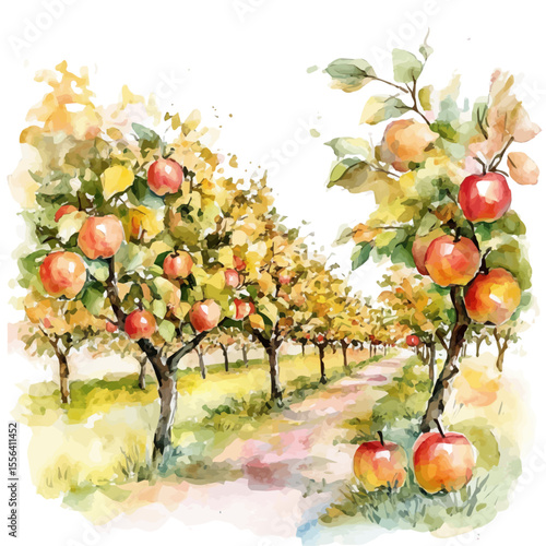 Apple Orchard In Fall, watercolor vector, isolated on a white background.