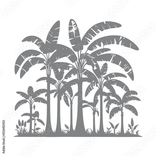 Banana Trees Silhouette for Presentation