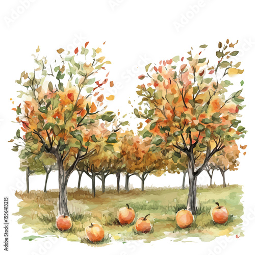 Apple Orchard In Fall, watercolor painting vector, isolated on a white background.