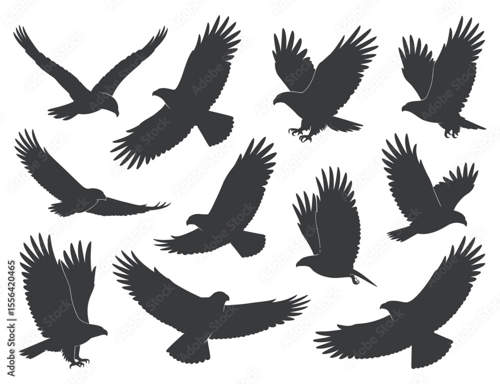 Fototapeta premium Collection of Silhouettes of Eagles in Flight Against a White Background Multiple black silhouettes eagles various flight positions eagle silhouette bird flying flight