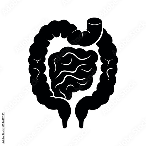 gut anatomy human digestive silhouette vector art