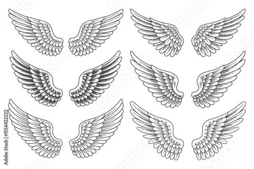 Set of Detailed Angel Wing Designs in Vintage Style Six different detailed angel wing illustrations angel wings wings angel tattoo design illustration vintage