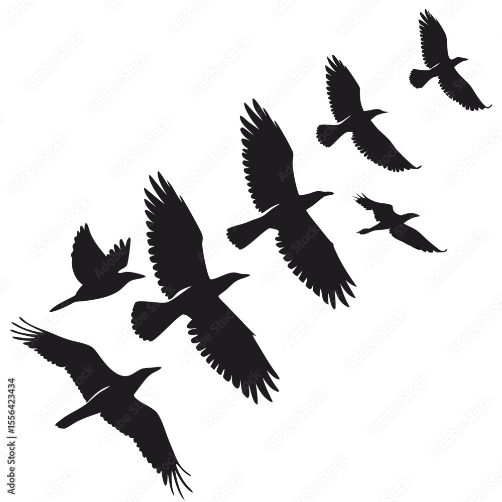 Obraz premium black-silhouette-vector-of-birds-in-flight--white- (2)