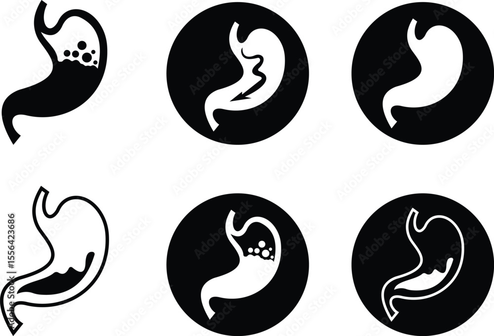 Fototapeta premium Stomach organ icon set biology digestion function. contains gastric juice to aid digestion and ascend to the intestine. ache, healthcare symbol. Anatomy, healthy. silhouette Outline, flat design.