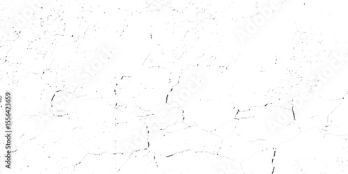 "White grunge cracked wall texture with subtle distressed patterns and fine surface fractures. Ideal for vintage backgrounds, aged effects, architectural details, or design overlays"