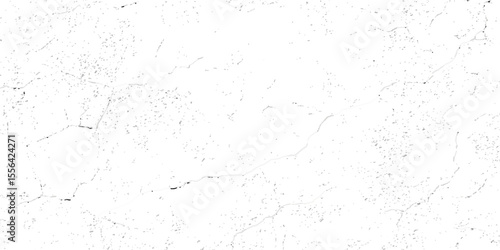 "White grunge cracked wall texture with subtle distressed patterns and fine surface fractures. Ideal for vintage backgrounds, aged effects, architectural details, or design overlays"