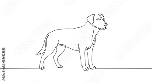 Line art drawing of a standing dog