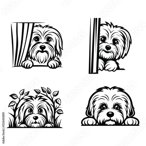 Coton de Tulear dog Svg