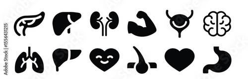 Human Organs and Body Health Icons – organs, anatomy, health, liver, brain, heart, lungs, stomach, kidney. Collection of human internal organ icons. 