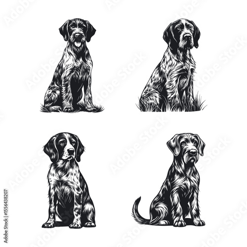 German Wirehaired Pointer Dog SVG