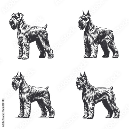 Giant Schnauzer Dog Svg