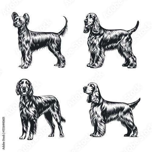 Gordon Setter Dog Svg