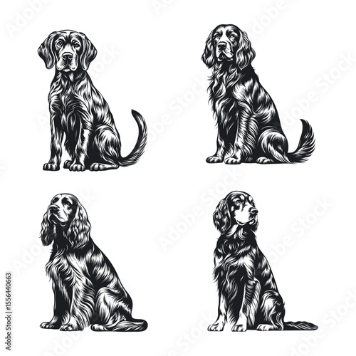 Gordon Setter Dog Svg