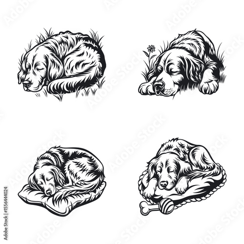 Irish Setter Dog Svg