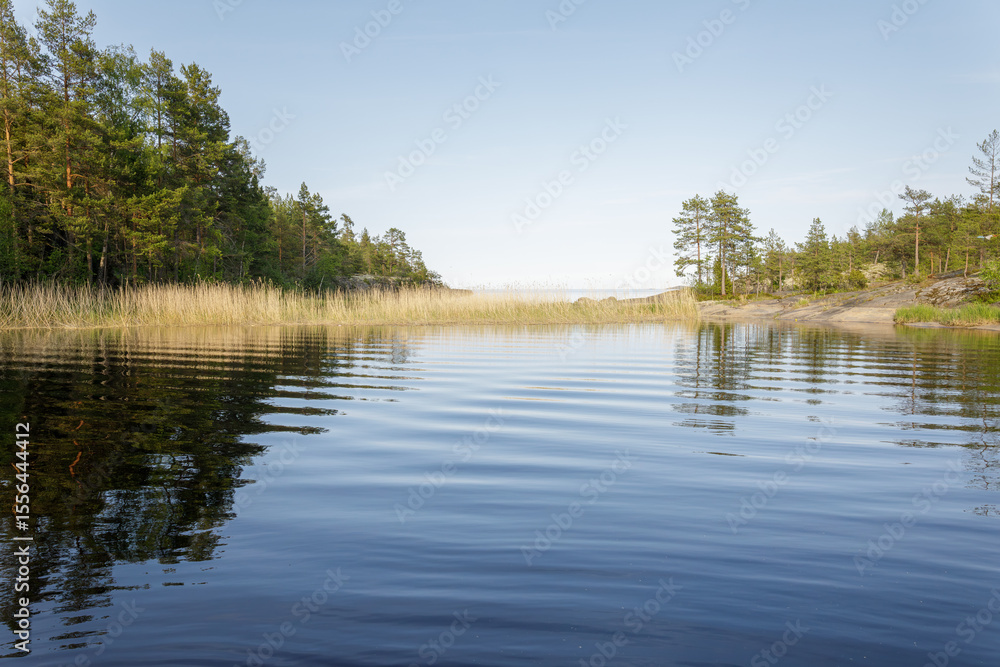 Obraz premium Serene water with gentle ripples reflecting the surrounding trees and tall reeds, creating a peaceful lakeside scene.