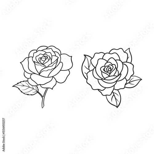 Cuadro en lienzo line art of four quality roos flower  bundle on the white background