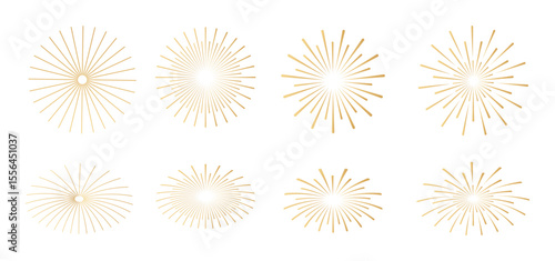 sparkler fireworks  vector logo isolated