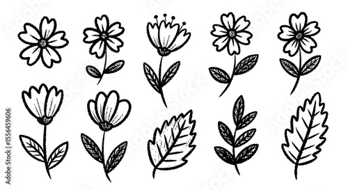 Hand-Drawn Flower and Leaf Illustrations Simple Line Art Designs
