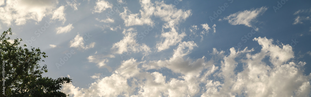 Obraz premium Wide panoramic shot of the day clouds in the sky with tree silhouette in foreground