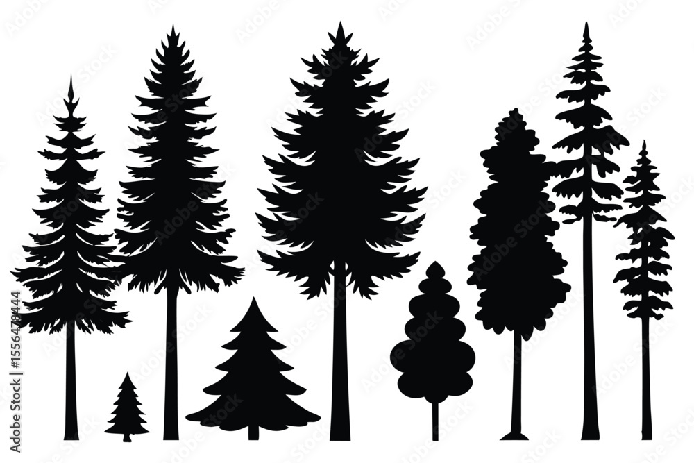 Obraz premium Silhouettes of evergreen trees in a forest setting 