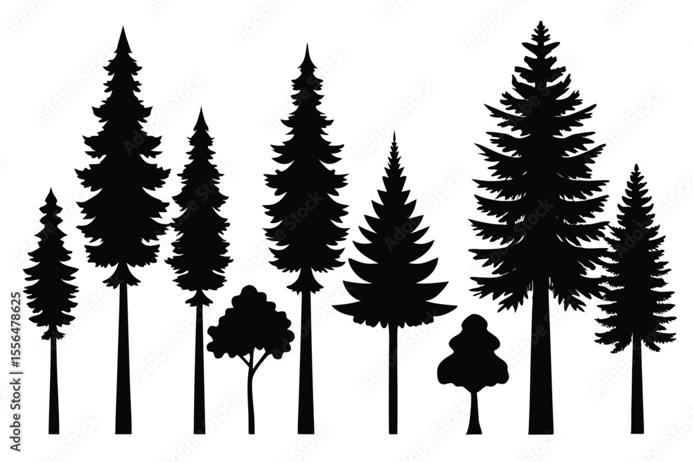 Obraz premium Silhouettes of evergreen trees in a forest setting 