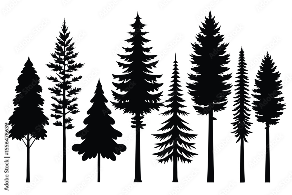 Obraz premium Silhouettes of evergreen trees in a forest setting 