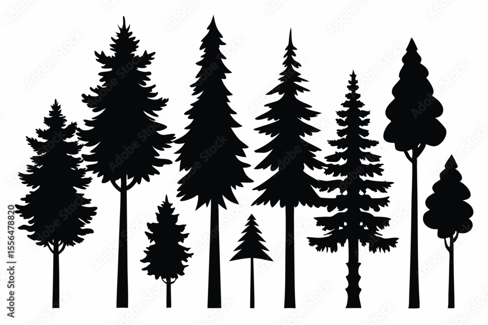 Fototapeta premium Silhouettes of evergreen trees in a forest setting 